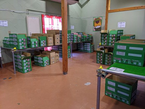 贈答用下仁田ネギ売り場